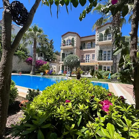 尤加阿拉卡提酒店 2*