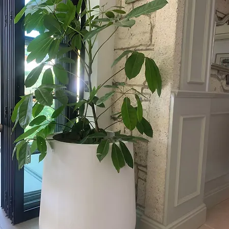 尤加阿拉卡提酒店 2*