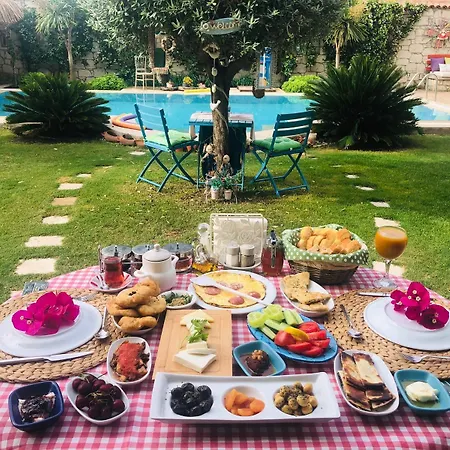 尤加阿拉卡提酒店 2* 阿拉恰特