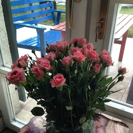 尤加阿拉卡提酒店 2*